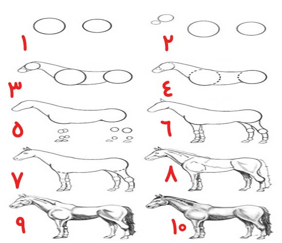 اموزش قدم به قدم نقاشی اسب به کودکان ۱۳ ساله با مداد-آموزش نقاشی کودکانه اسب-آموزش راحت و ساده نقاشی اسب