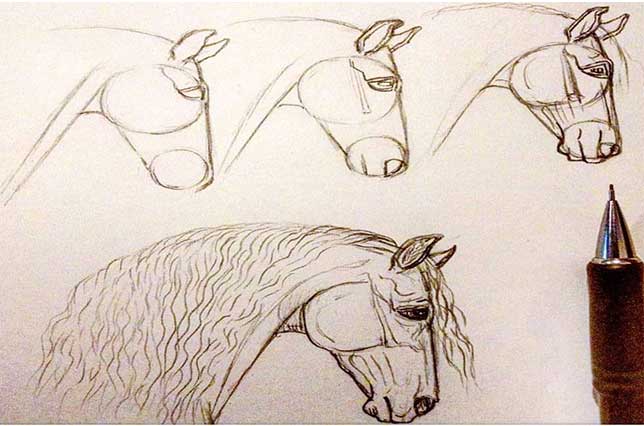 نقاشی اسب حرفه ای با مداد سیاه-نقاشی ساده و راحت با مداد-آموزش نقاشی اسب کارتونی-عکس نقاشی اسب