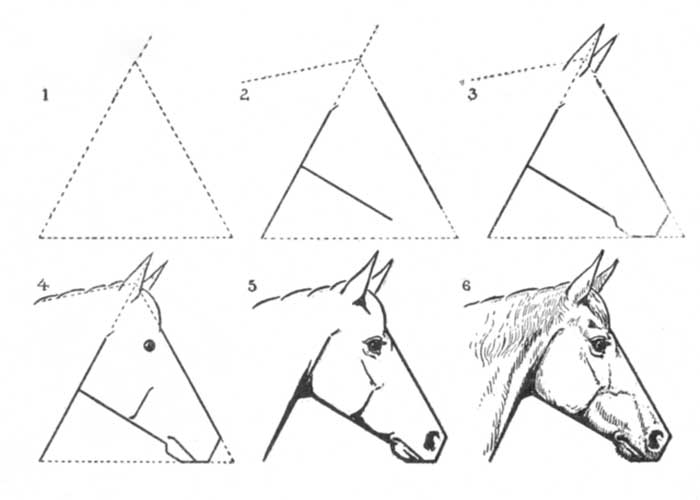 آموزش نقاشی اسب با مداد برای کودکان 6 ساله-آموزش نقاشي اسب برای کلاس اولی ها-اموزش قدم به قدم نقاشی اسب