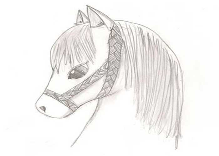 نقاشی کودکانه-نقاشی کودکانه و کارتونی اسب-اموزش تصویری نقاشی اسب به کودکان ۴ساله-نقاشی ساده اسب