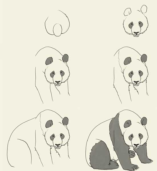 نقاشی پاندا-آموزشی نقاشی به کودکان کلاس چهارمی-نقاشی پاندای بزرگ بامزه برای کودکان و دبستانی ها
