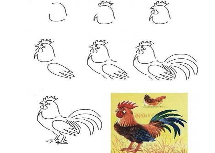 اموزش مرحله به مرحله نقاشی خروس به کودکان-آموزش نقاشی کودکانه