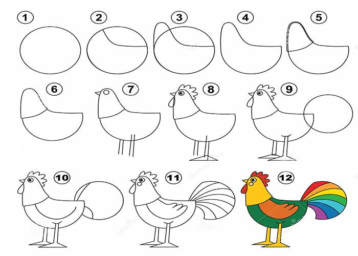 اموزش قدم به قدم نقاشی خروس به کودکان ۱۳ ساله-آموزش راحت و ساده نقاشی خروس