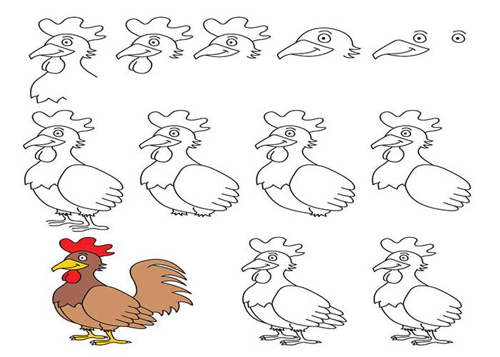 آموزش راحت و ساده نقاشی خروس-آموزش مرحله به مرحله نقاشی خروس