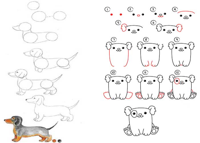 اموزش قدم به قدم نقاشی سگ به کودکان ۱۳ ساله-آموزش نقاشی کودکانه سگ