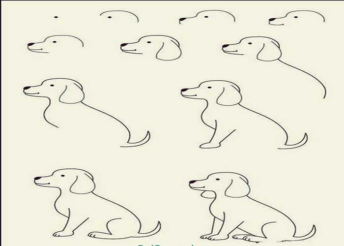 نقاشی سگ دوبرمن وحشی-نقاشی سگ پاکوتاه