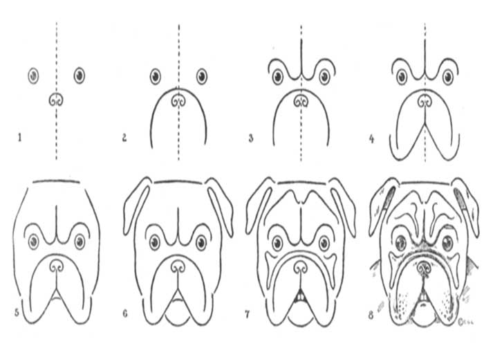 نقاشی سگ گرگی-نقاشی سگ دخترانه-نقاشی سگ زیبا-نقاشی سگ کارتونی