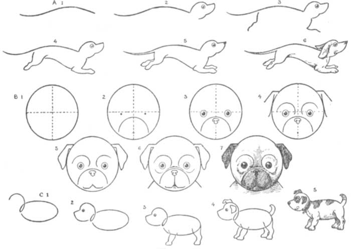 نقاشی سگ پشمالو-نقاشی سگ وحشی کودکانه