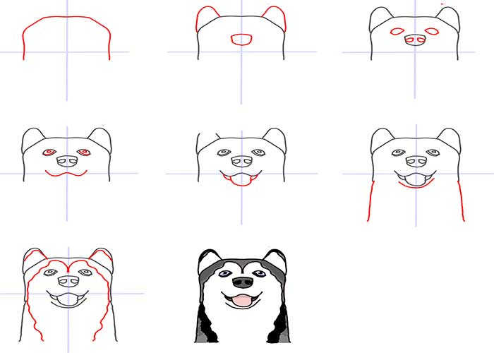 نقاشی سگ کوچولو-نقاشی سگ زیبا-نقاشی سگ گرگی