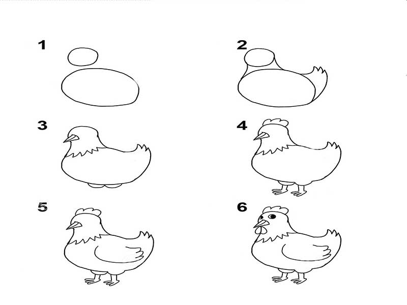 آموزش “نقاشی مرغ” به کودکان-تصویری و مرحله به مرحله-ایده نقاشی و رنگ آمیزی مرغ