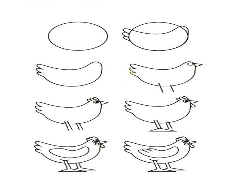 آموزش نقاشی مرغ برای کودکان-نقاشی گام به گام مرغ برای کودکان-زیباترین طرحها برای رنگآمیزی