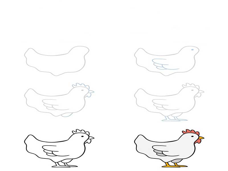 آموزش نقاشی مرغ برای کودکان-تصاویر برای آموزش نقاشی مرغ برای کودکان