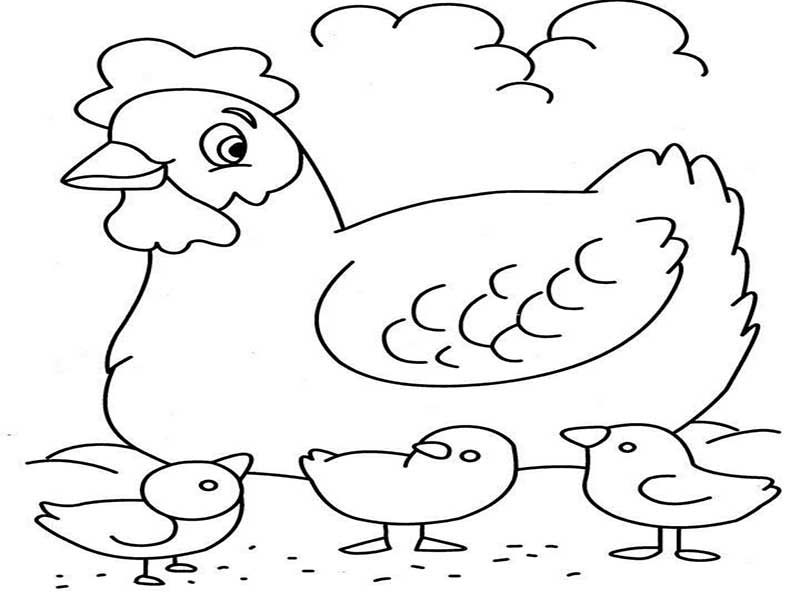 آموزش نقاشی مرغ-نقاشی مرغ ساده-نقاشی ساده مرغ