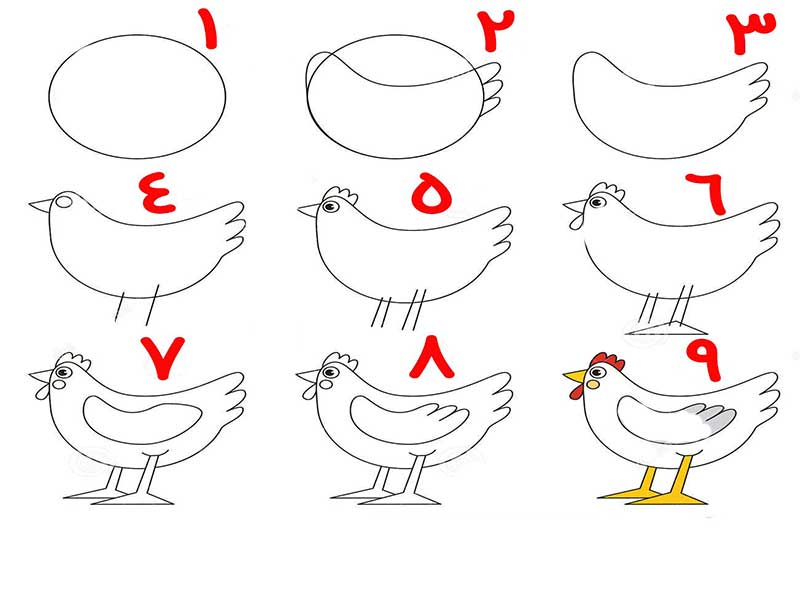 چطور نقاشی یه مرغ بکشم