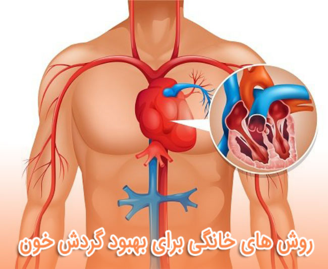 بهبود گردش خون - روش های خانگی برای " افزایش گردش خون "