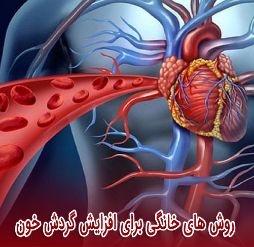 بهبود گردش خون