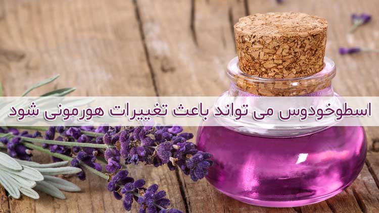 عوارض اسطوخودوس - موارد منع مصرف و مضرات آن