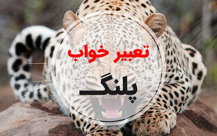 تعبیر خواب پلنگ - لیست 94 معنی جدید دیدن پلنگ در خواب