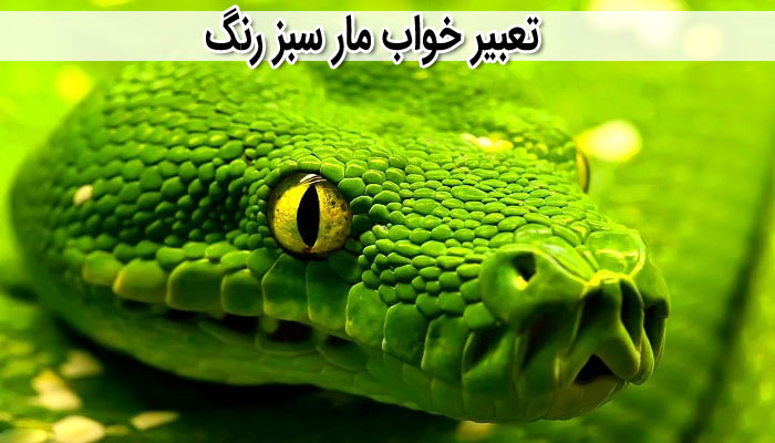 تعبیر خواب مار چیست ؟ تعبیر خواب مار چیست ؟
