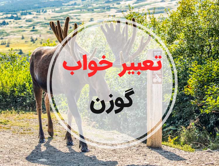 تعبیر خواب گوزن - لیست 39 معنی جدید دیدن گوزن شاخ دار در خواب