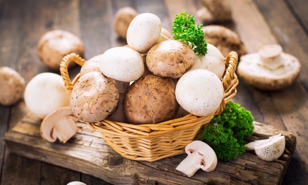 قارچ دکمه ای