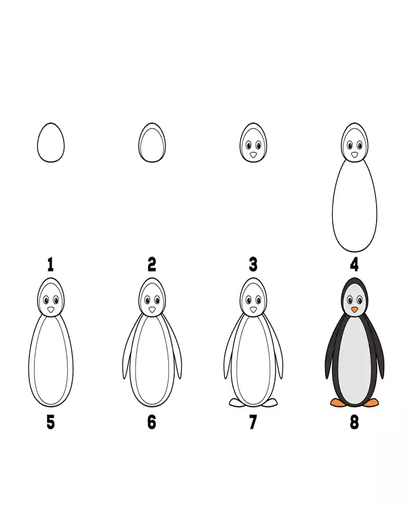 چطور یه پنگوئن بکشم-آموزش نقاشی پنگوئن به کودکان-مرحله به مرحله-انواع پنگوئن