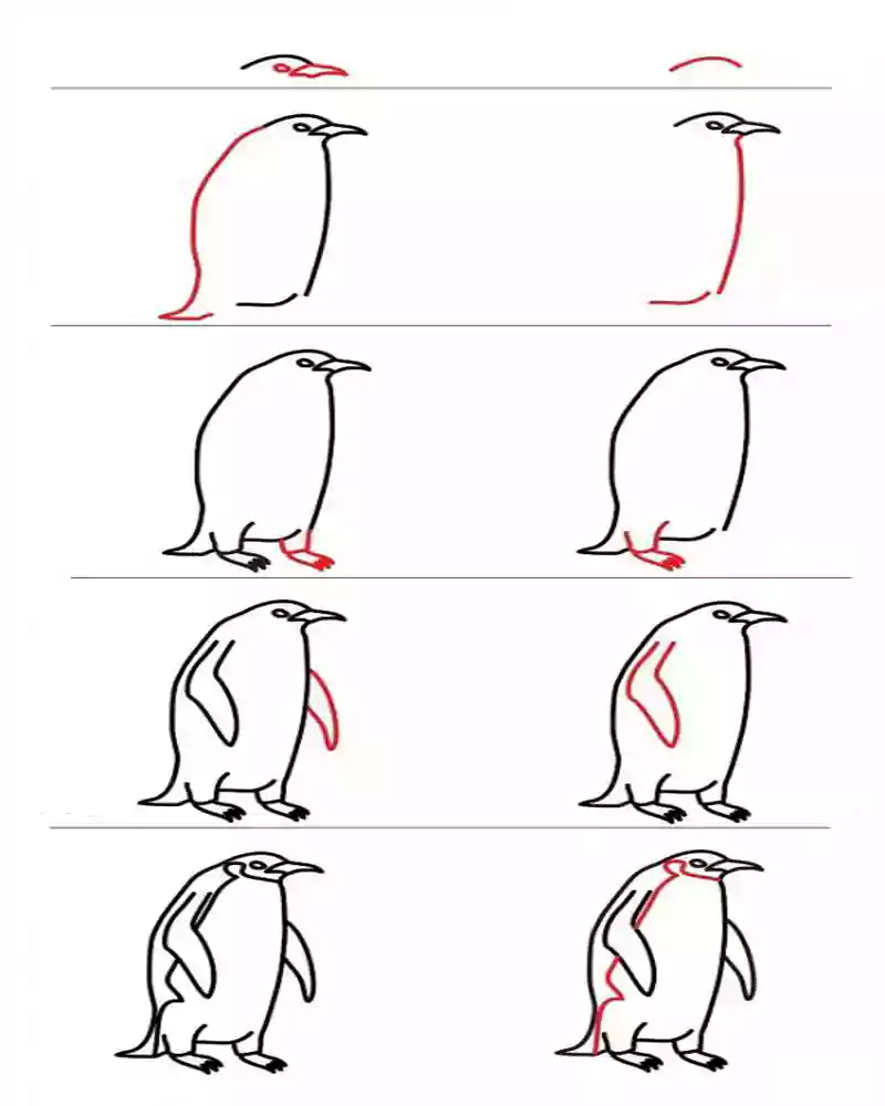 آموزش نقاشی گام به گام به گام پنگوئن-نقاشی پنگوئن به صورت مرحله به مرحله-آموزش تصویری نقاشی پنگوئن-آموزش نقاشی کودکانه