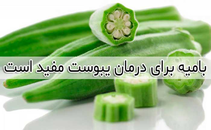 خواص و فواید بامیه - 13 خاصیت بامیه + عوارض جانبی آن