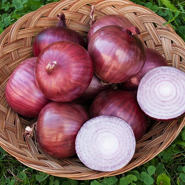 برای درمان گوشت اضافه از پیاز استفاده کنید