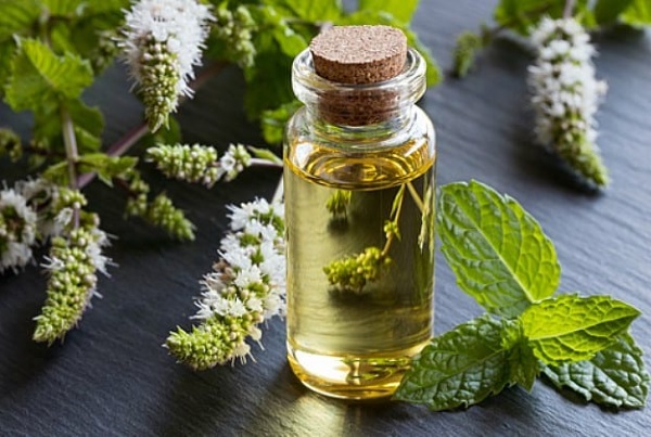روغن نعناع فلفلی و روغن اکالیپتوس