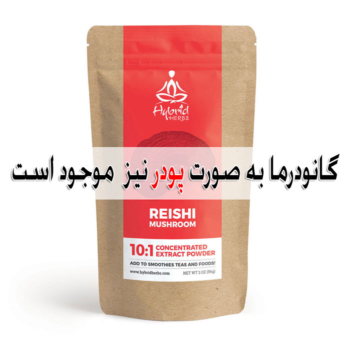قارچ گانودرما چیست ؟ + خواص ، عوارض جانبی و موارد مصرف