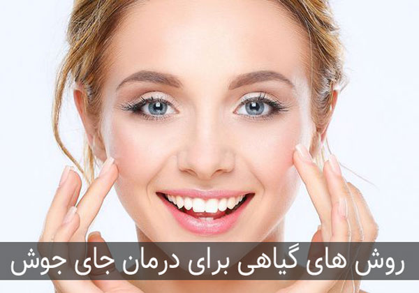 روش های گیاهی و خانگی برای از بین بردن جای جوش و آکنه
