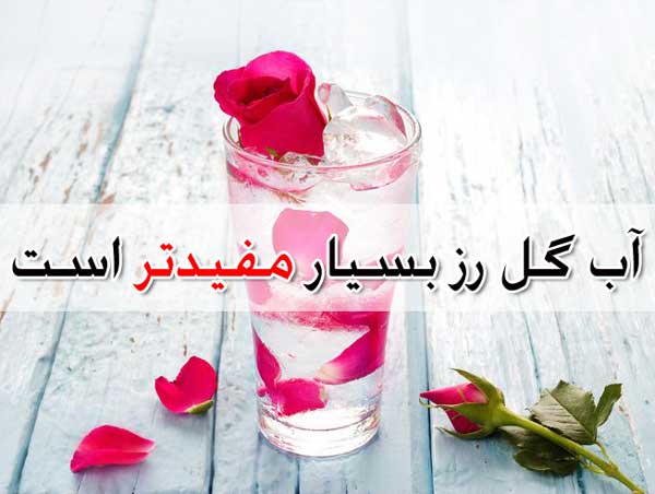 گلاب - لیست خواص + تداخل دارویی + مصرف در بارداری