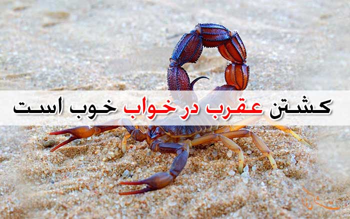 تعبیر خواب عقرب - لیست 51 معنی جدید دیدن عقرب در خواب