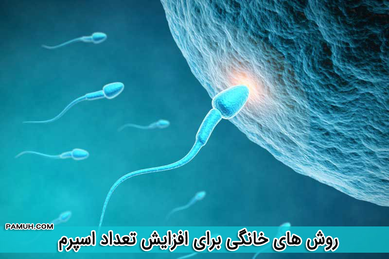 افزایش تعداد اسپرم با 15 روش خانگی و گیاهی - افزایش تحرک اسپرم