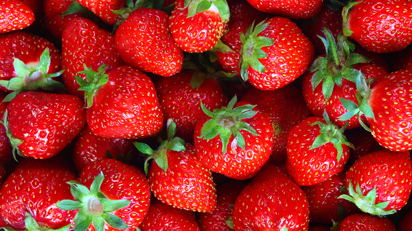 8 خاصیت غذایی و دارویی توت فرنگی