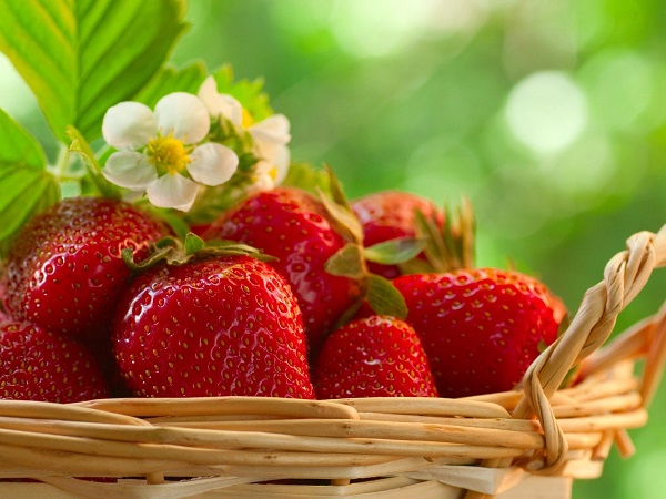 توت فرنگی به سم زدایی بدن کمک می کند