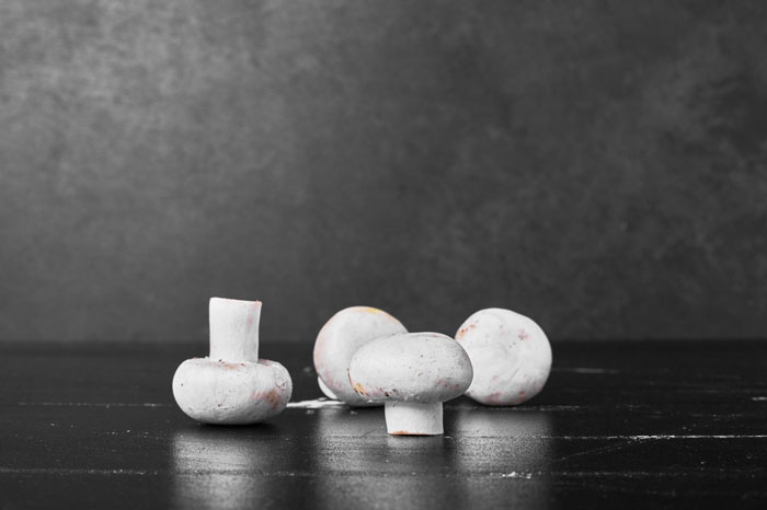 اهمیت زیاد یادگیری پرورش قارچ