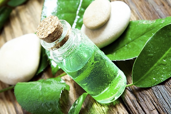 روغن درخت چای برای رفع ترک پا