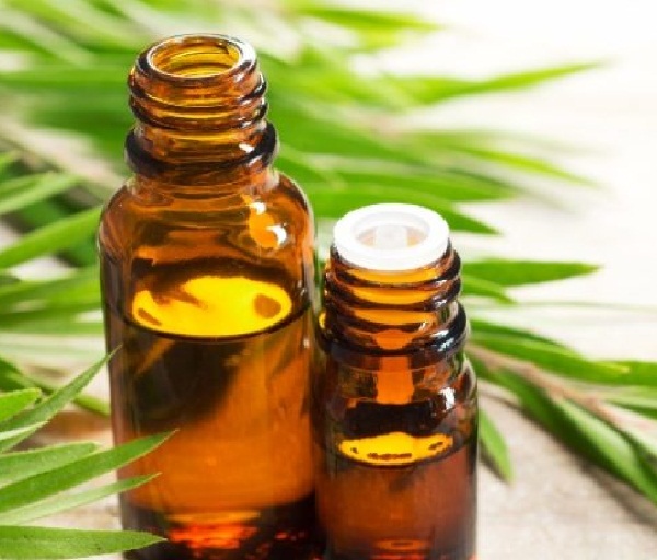 روغن درخت چای چه تاثیری بر درمان سریع جوش دارد ؟