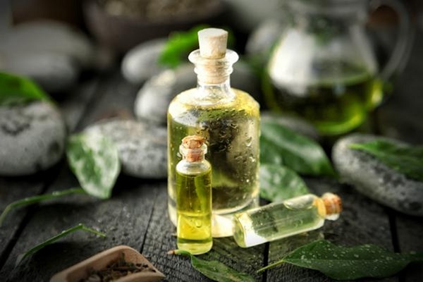 ژل آلوئه ورا و روغن درخت چای برای از بین بردن درماتیت سبوره