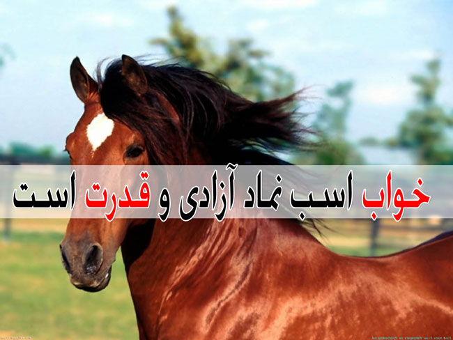 تعبیر خواب های قدیمی در مورد اسب