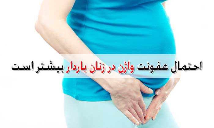 احتمال عفونت واژن در زنان باردار بیشتر است