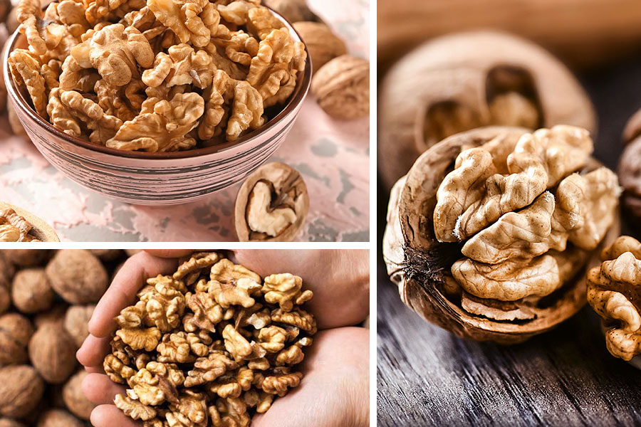 تعبیر خواب گردو - لیست 29 معنی «دیدن گردو در خواب»