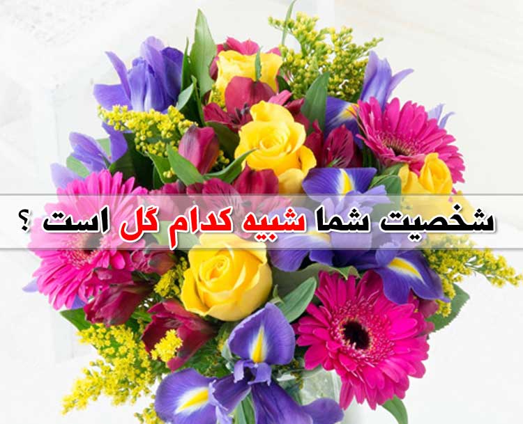 شما شبیه کدام گل هستید ؟ تست آنلاین